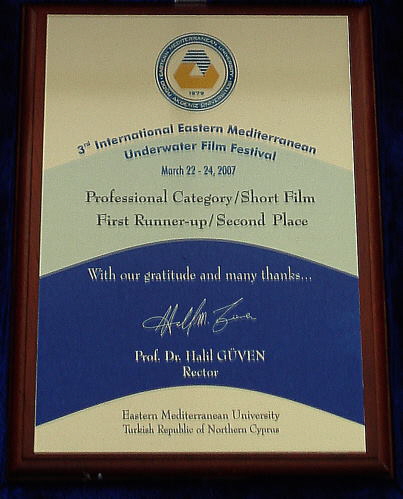 Cyprus_2007_Award