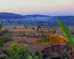 002 Landscap_Bali